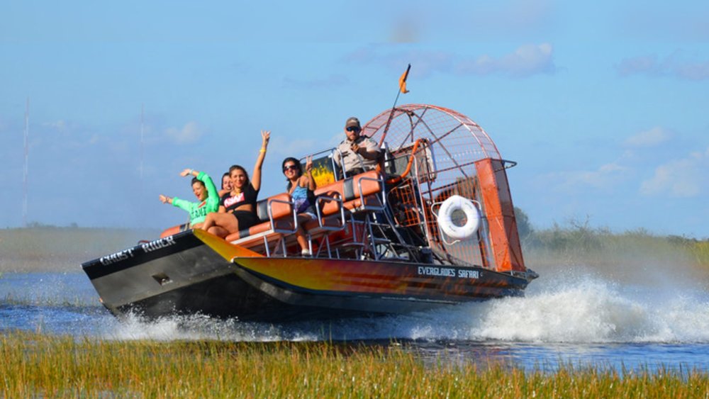 No need to break a sweat. Board an airboat and discover all the park’s features!