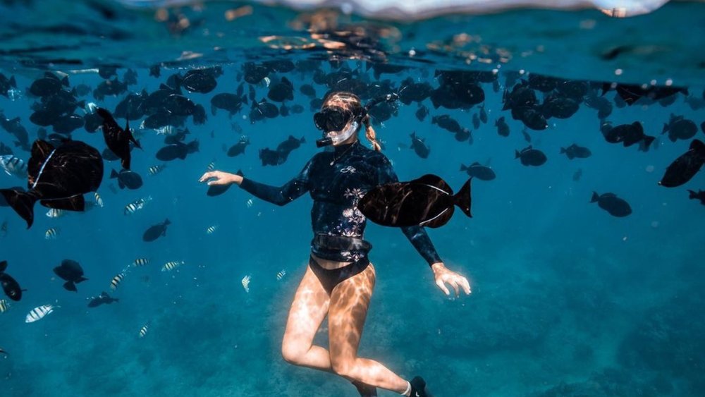 Be surrounded by schools of fish in Waikiki. Credits: @codyketchumphotography