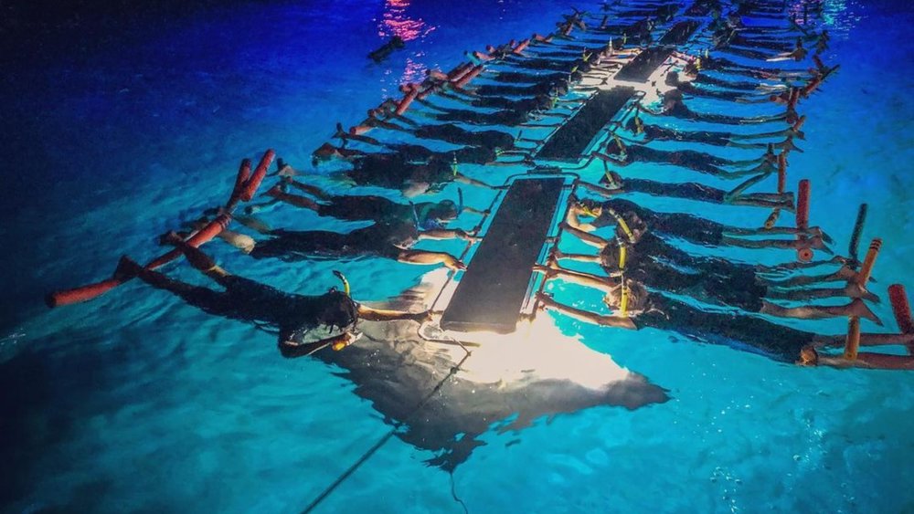 Watch great manta rays at night. Credits: @mort.tician863