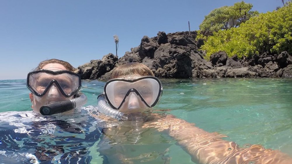 With crystal clear waters, you can easily spot marine life from above the surface! Credits: @sue_peerson