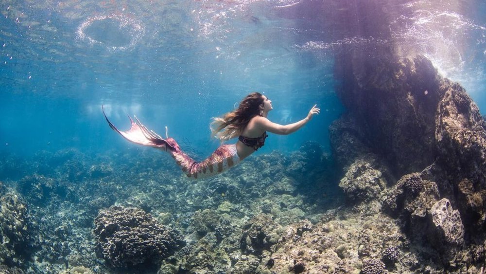 Pack your mermaid fins and pose for pics. Credits: @finfolkproductions