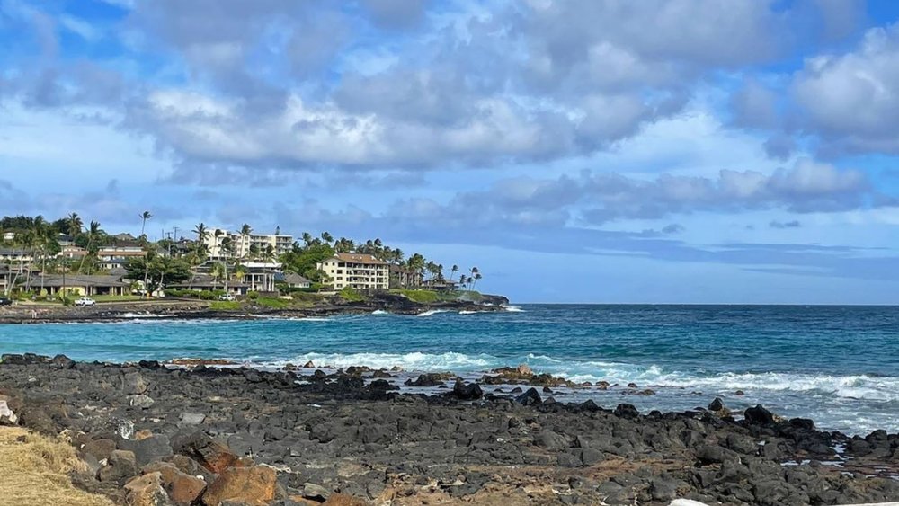 Enjoy your day at Poipu Beach Park. Credits: @andr3a88