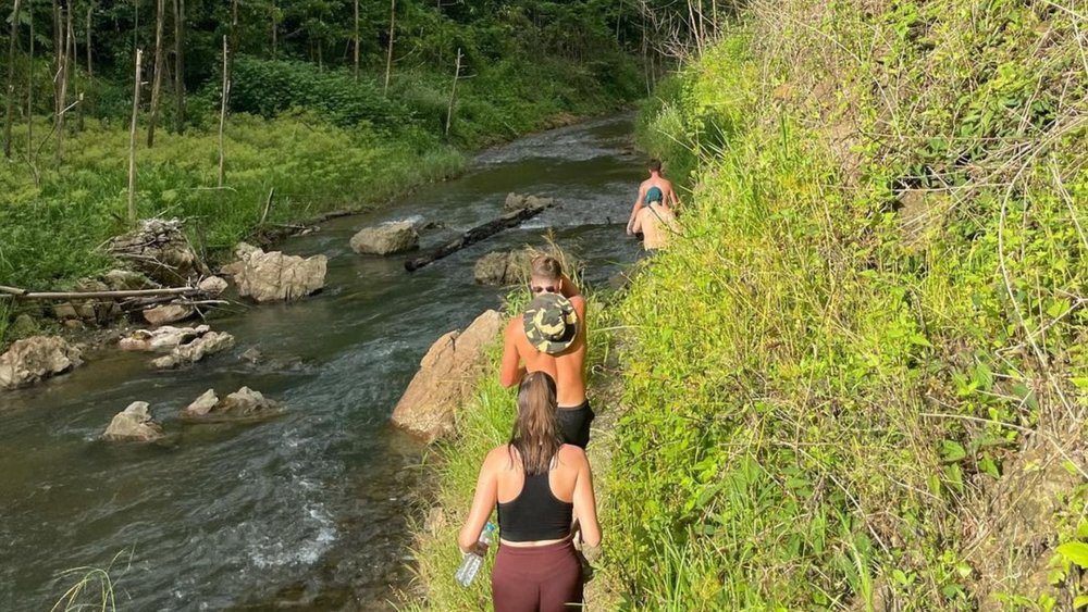 Go on a jungle trek at the national park. Credit:saoirsebarry