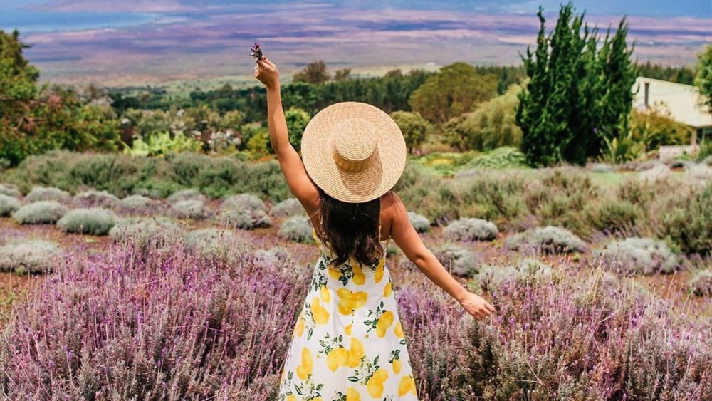Maui is not only home to fabulous beaches and coasts but also to fairy-like gardens.  Credits: @jasminealley on Instagram