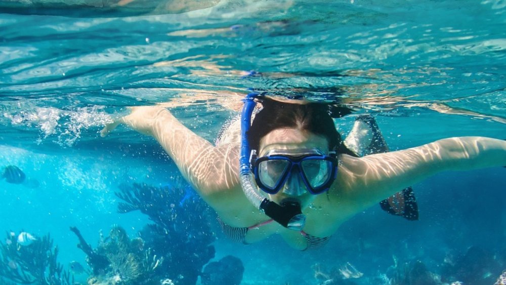 Maui has beautiful reef sites waiting to be explored. Credits: @honokowaimarketplace on Instagram