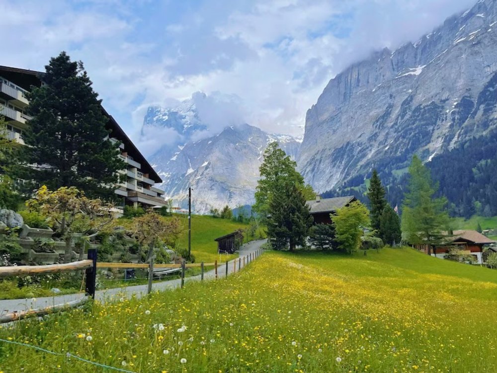 Grindelwald - First