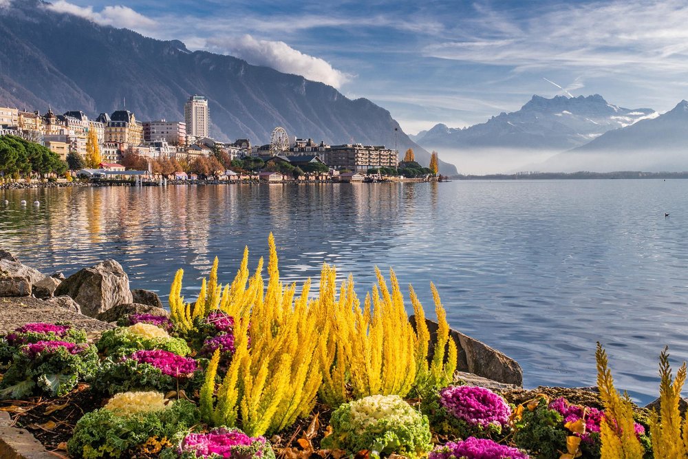 View of colorful plants, buildings, and mountains by the sea in Montreux