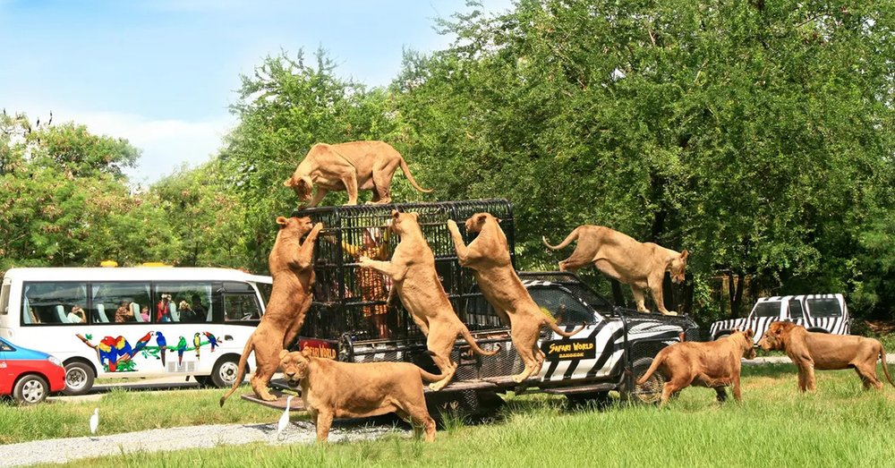 review-safari-world-bangkok