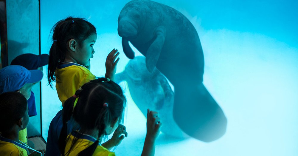 gia-ve-safari-world-bangkok