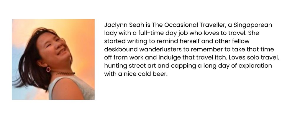 theoccasionaltraveller.com