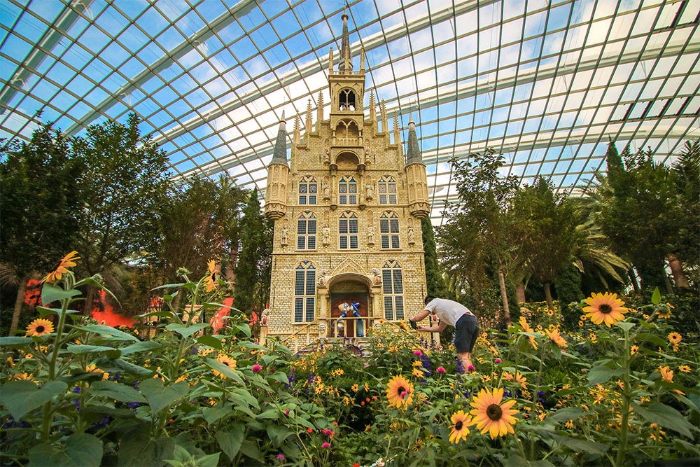 Man taking a photo of the Flower Dome