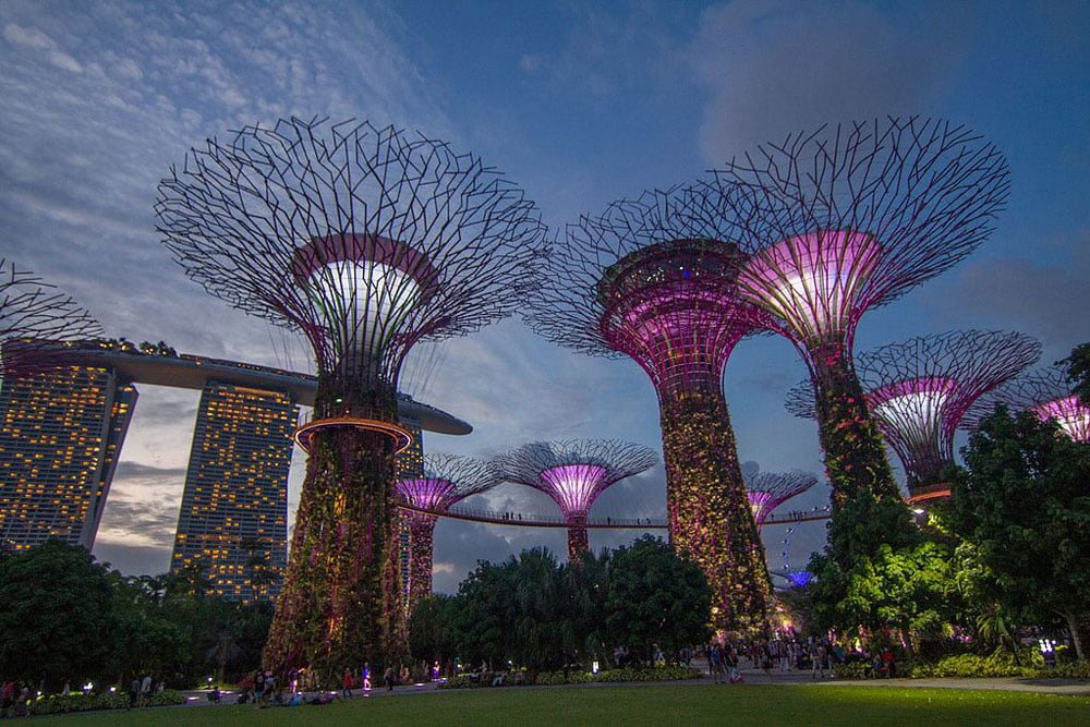 Outdoor gardens at Gardens by the Bay all lit up