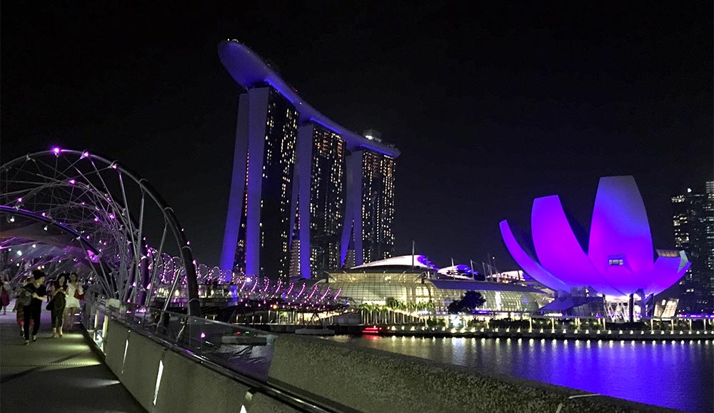 The Helix bridge at night