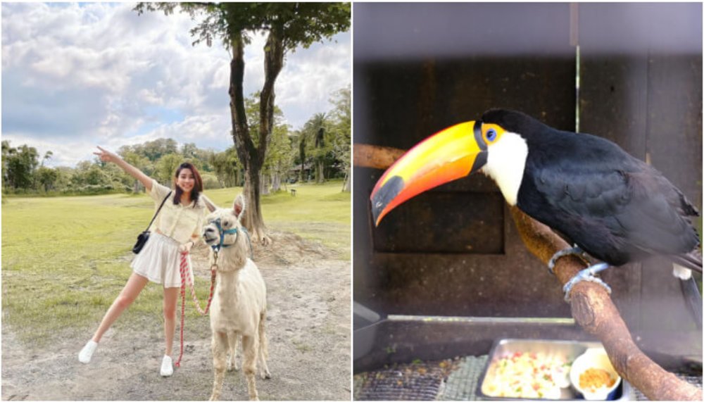 親子農場:綠世界生態農場