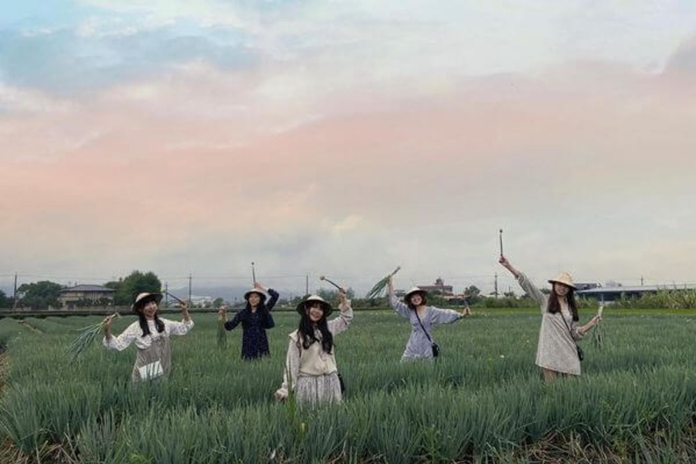 親子農場:宜蘭蔥寶寶體驗農場