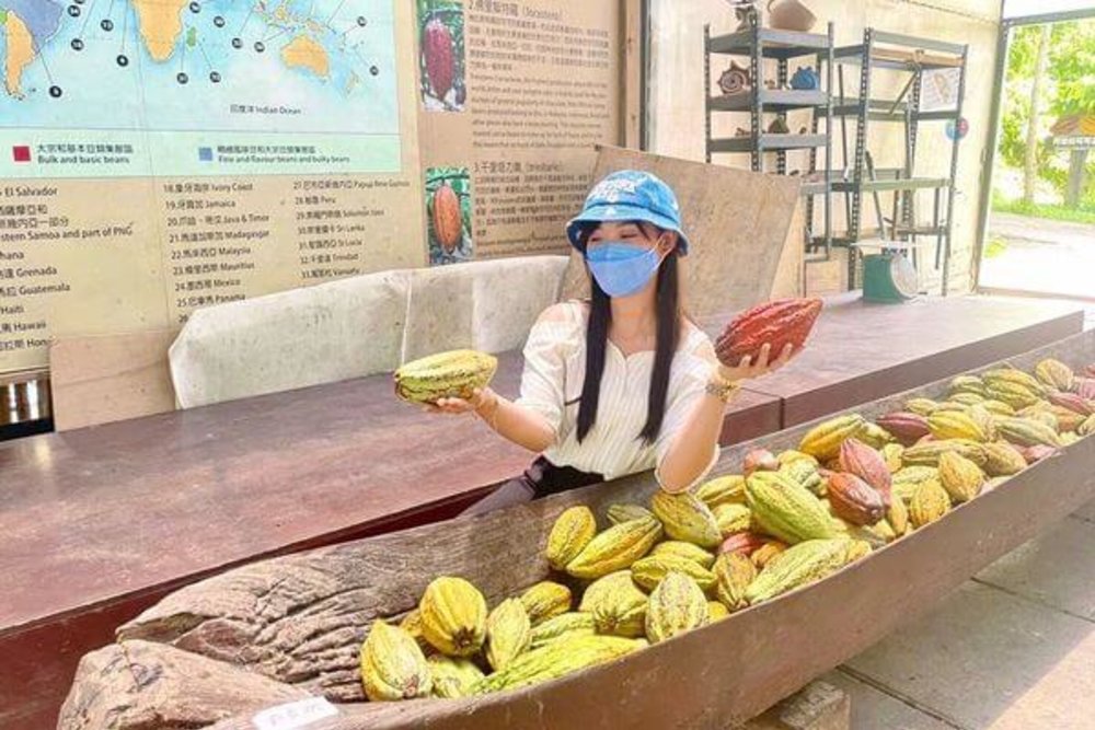 親子農場:阿信巧克力農場