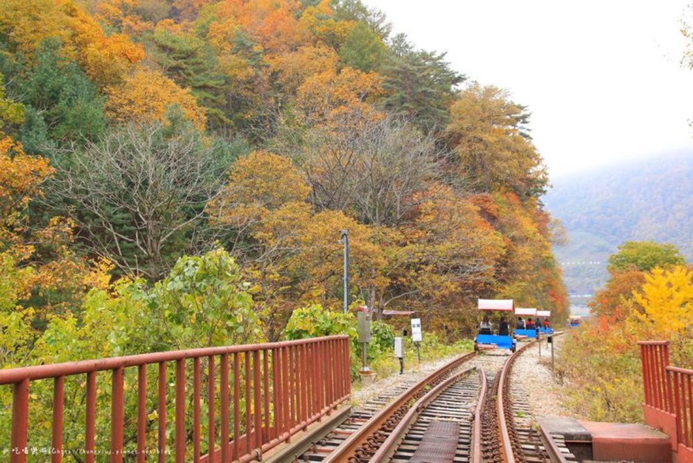 南怡島江村鐵道自行車