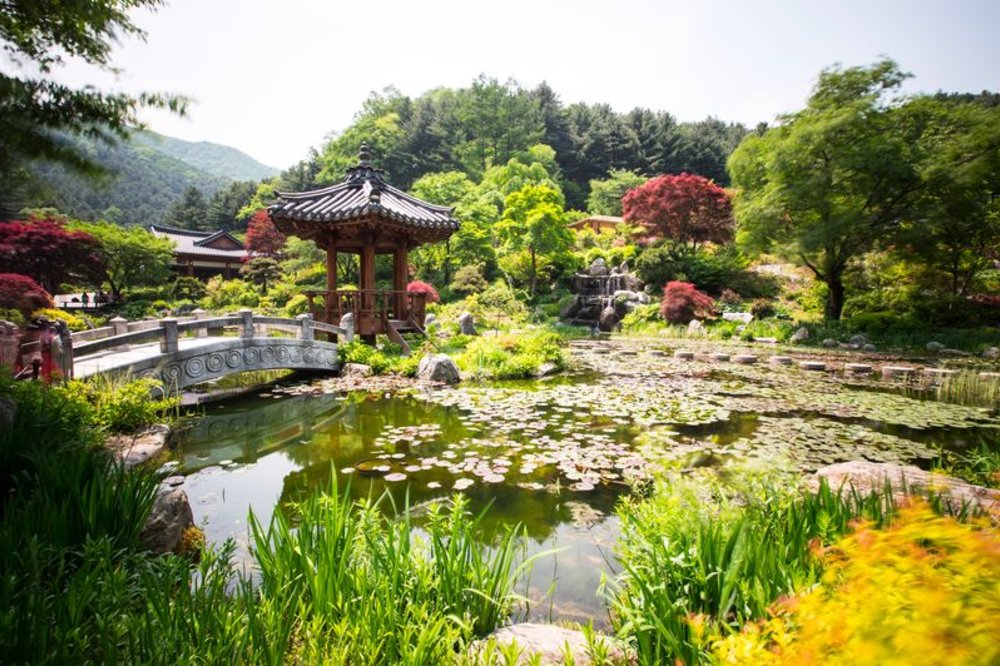 南怡島晨靜樹木園