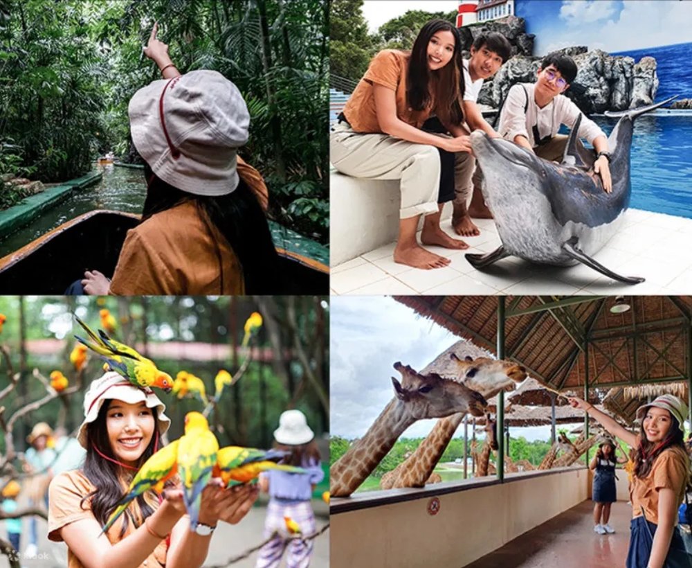 Collage of girl in a zoo
