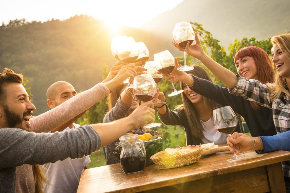 people enjoying wine in Yarra Valley