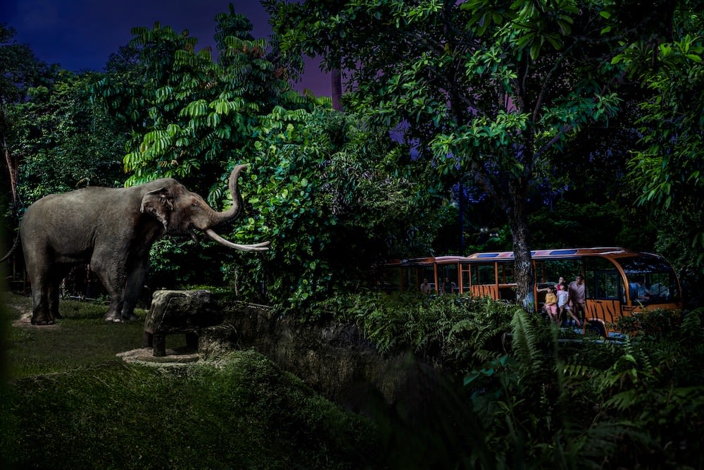 新加坡夜間動物園