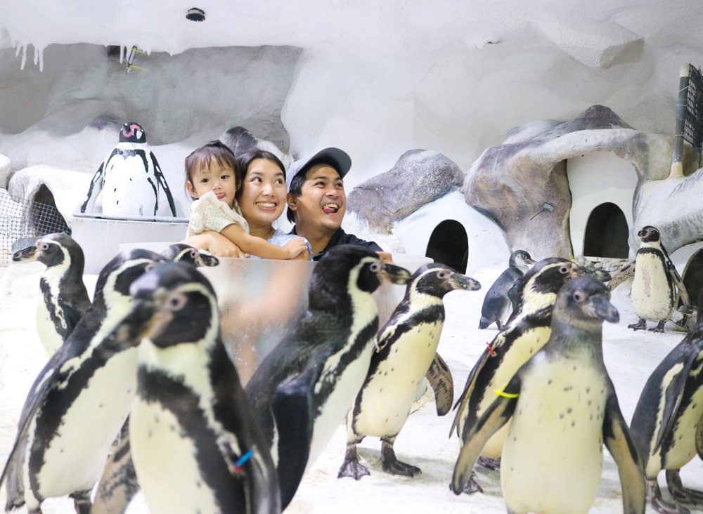 Exciting Attractions at Ocean Park Manila You Just Can’t Miss - Klook ...