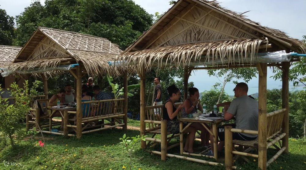 มื้อกลางวันสุดอร่อยใจกลางป่า