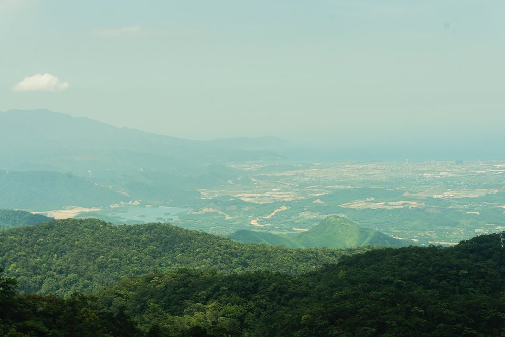 ทัศนียภาพของต้นไม้อันเขียวขจีบนภูเขา