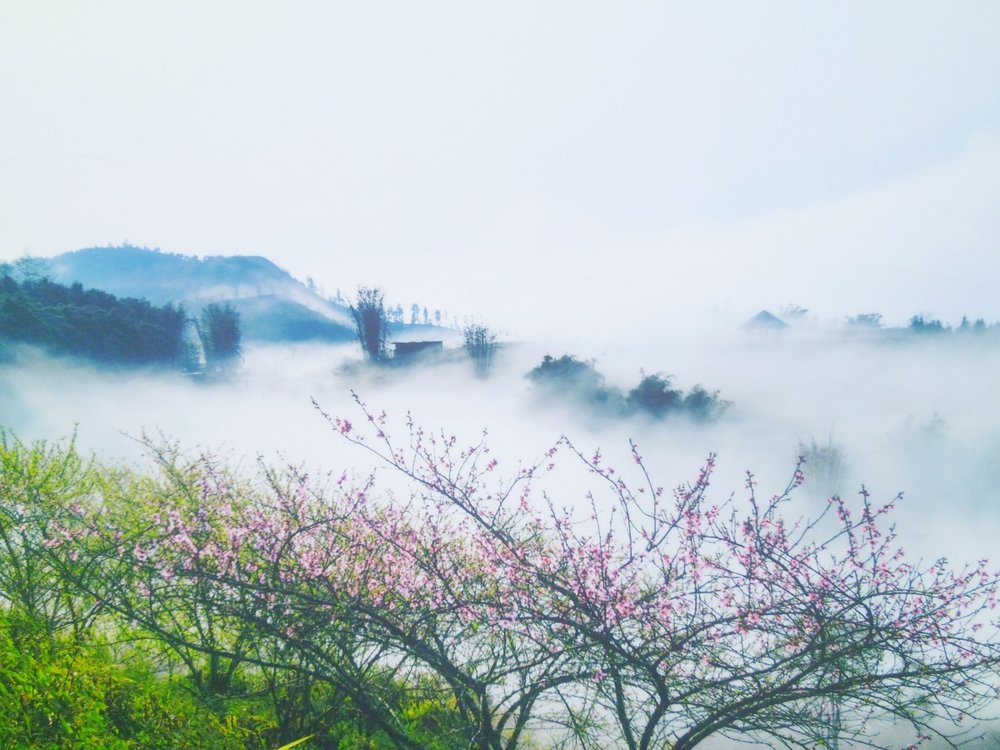 Bản Lóng Luông Mộc Châu