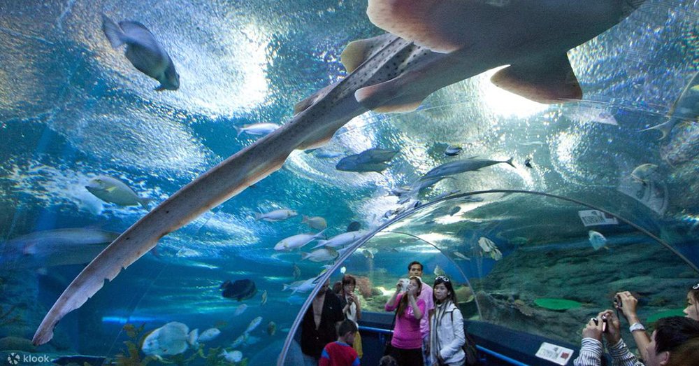 Thủy Cung Underwater World Pattaya