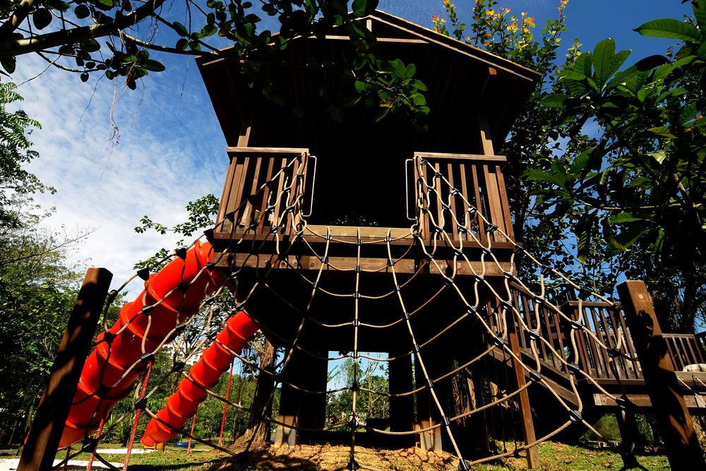 Tree house with rope climbing