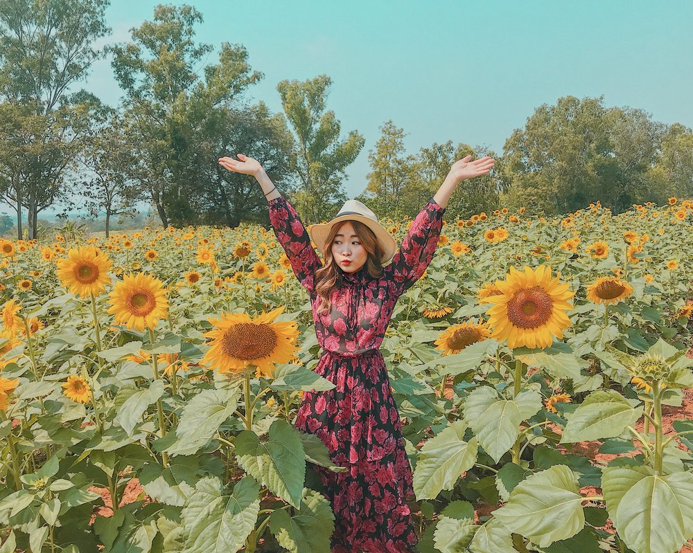 khao yai from bangkok car rental tour itinerary