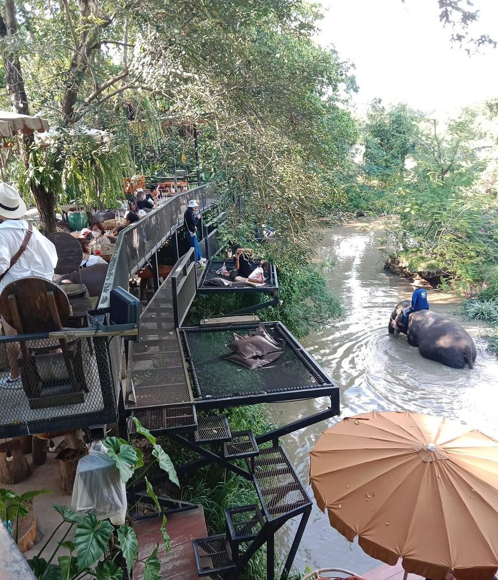 มองช้างคาเฟ่