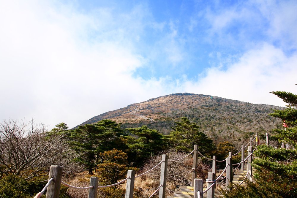 Wooden steps beside a mountain in Jeju