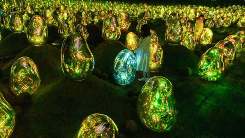 Moss Garden of Resonating Microcosm stimulates the sense of touch.