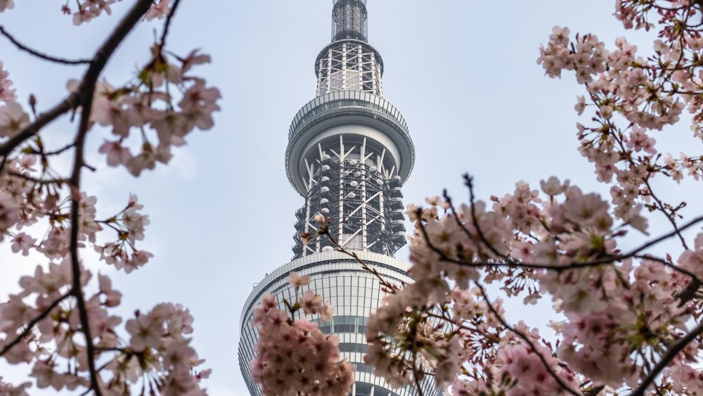 Tokyo Skytree is the tallest building in Japan.  Credits: Robby McCullough on Unsplash