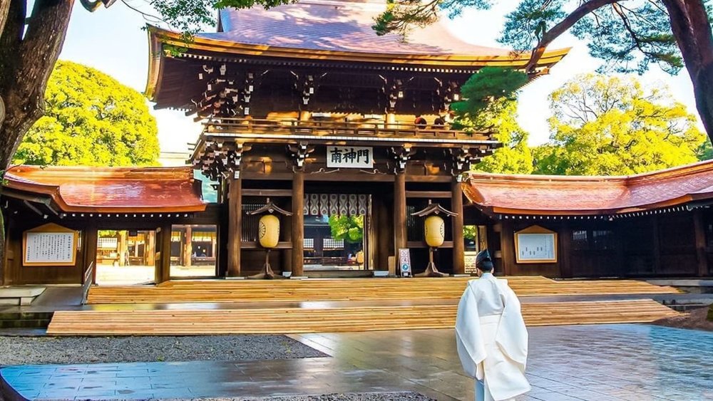 Travel back to historical Japan and visit the Meiji Shrine.  Credits: @abolred62dalobke on Instagram