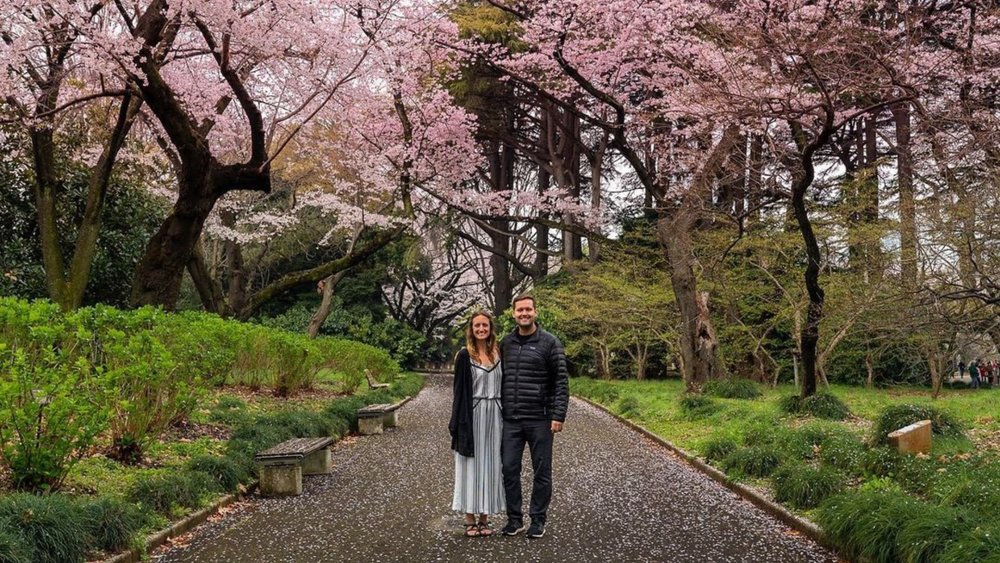 Admire the flora of Shinjuku Gyoen National Garden, especially the thousands of cherry trees! Credits: @zcarlile on Instagram