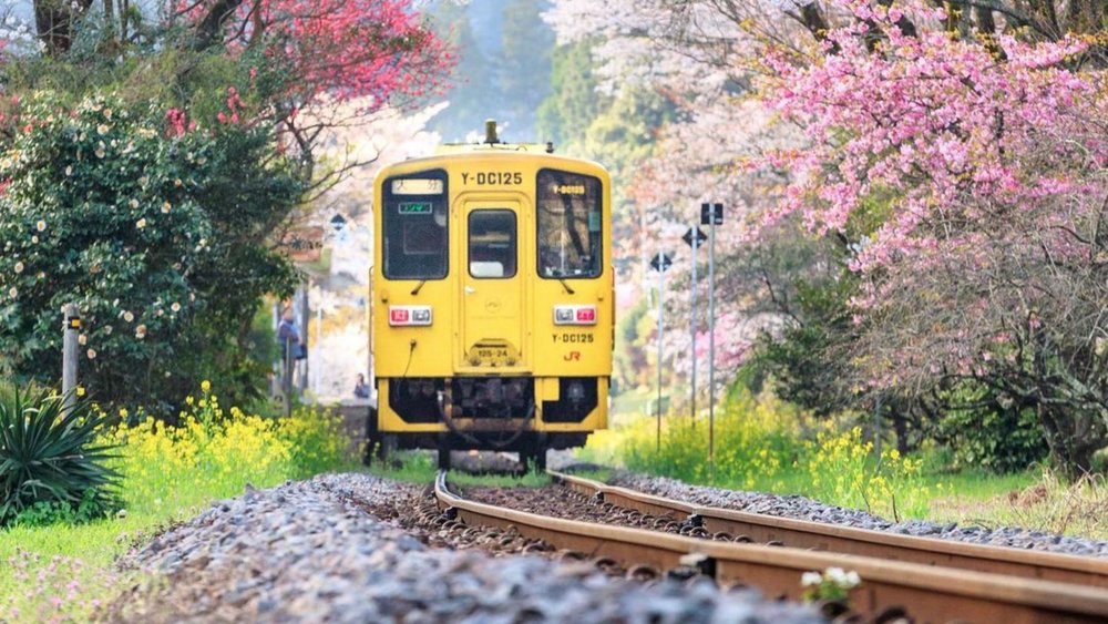  On top of its efficiency, Japan’s trains also offer fantastic views. Credit: 1_2_3_daaa
