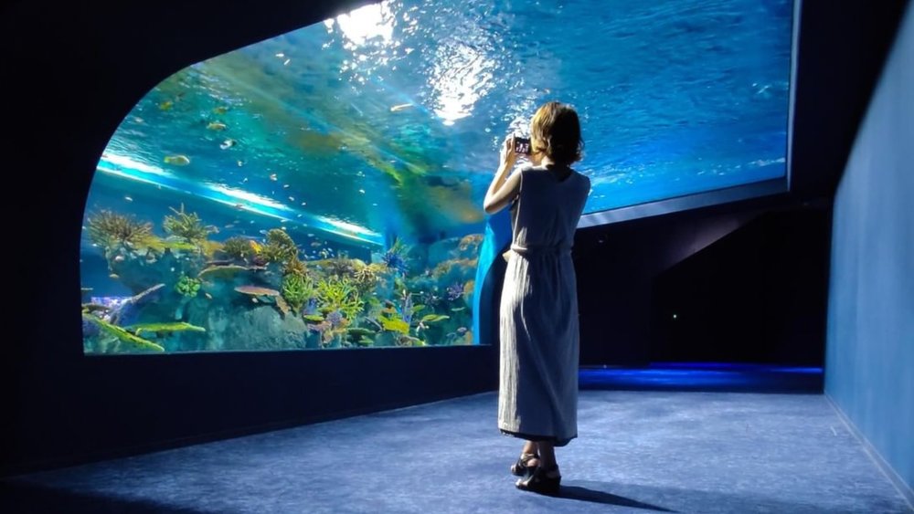 Watch the ocean come to life with DMM Kariyushi Aquarium’s innovative exhibits. Credits: @okinawa.365