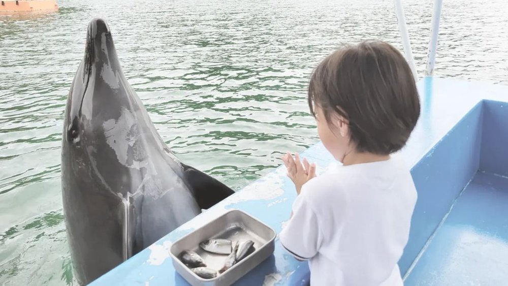 Kids can come close and befriend these creatures! Credits: @riku.co