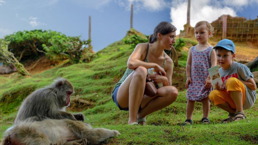 Monkey see, monkey do! Image credits: @traveloholix on Instagram