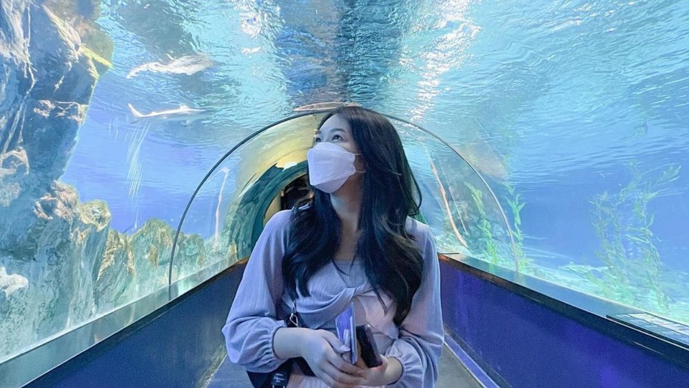 Check out the 40,000 sea creatures of Coex Aquarium!  Credits: @banabangs on Instagram