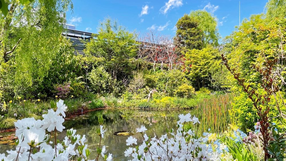 Have an unobstructed view of Tokyo without bumping into crowds. Image credits: @saho_tanapan on Instagram