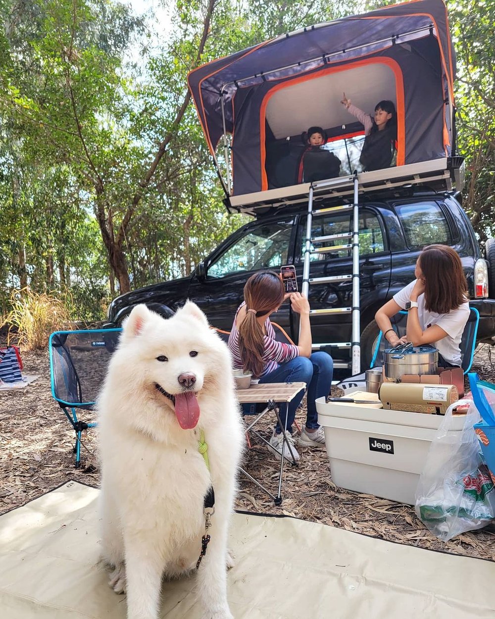 「車中泊」亦很適合帶同毛孩出行。@albieinthevalley