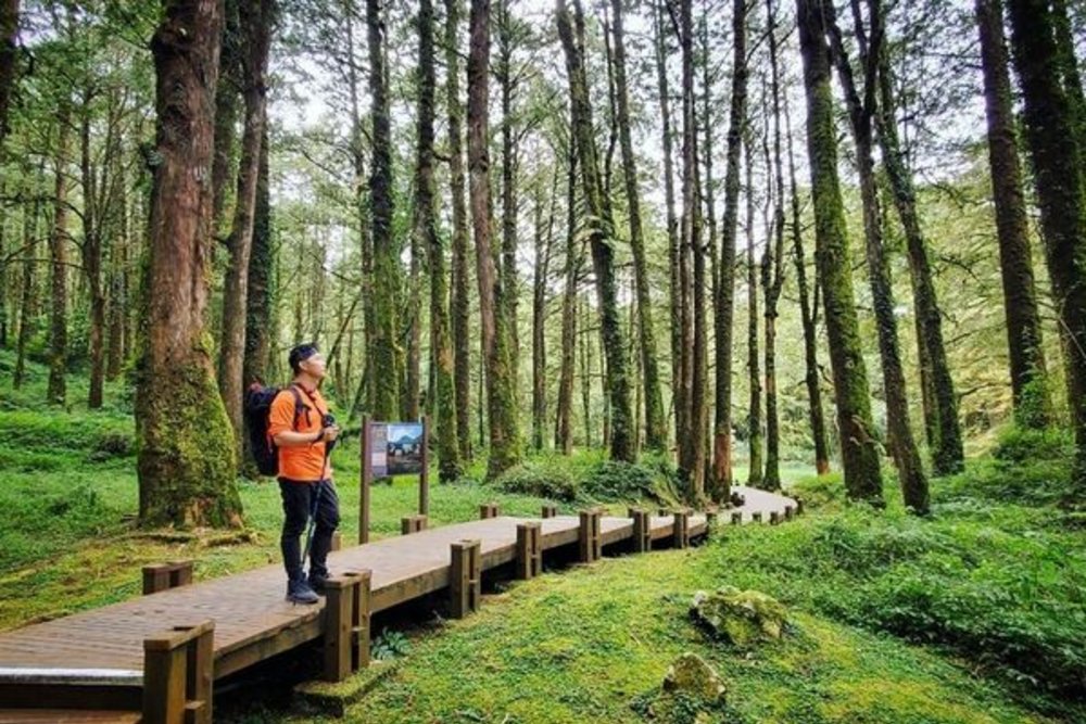 阿里山姐妹潭步道