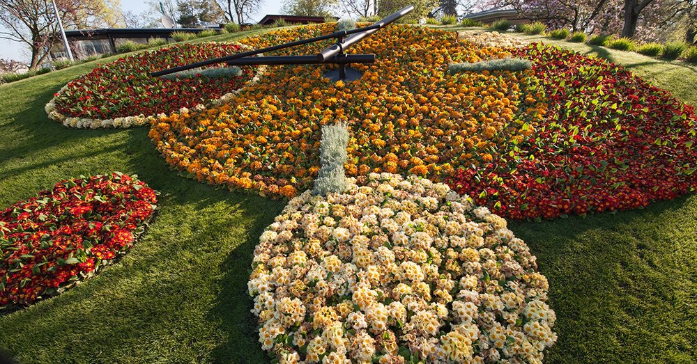 Đồng Hồ Hoa L'Horloge Fleurie