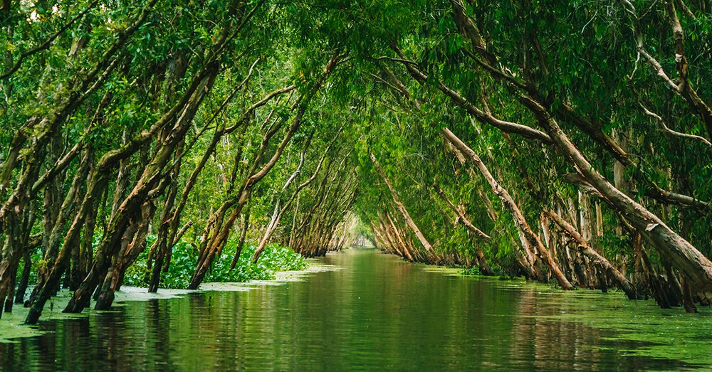 Du Lịch Cần Giờ Tháng 10