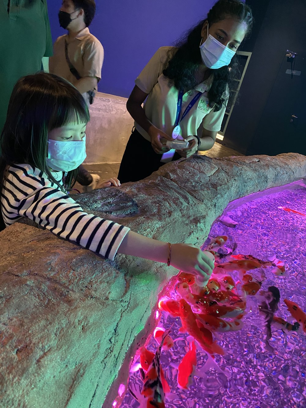 ioi city farm fish feeding