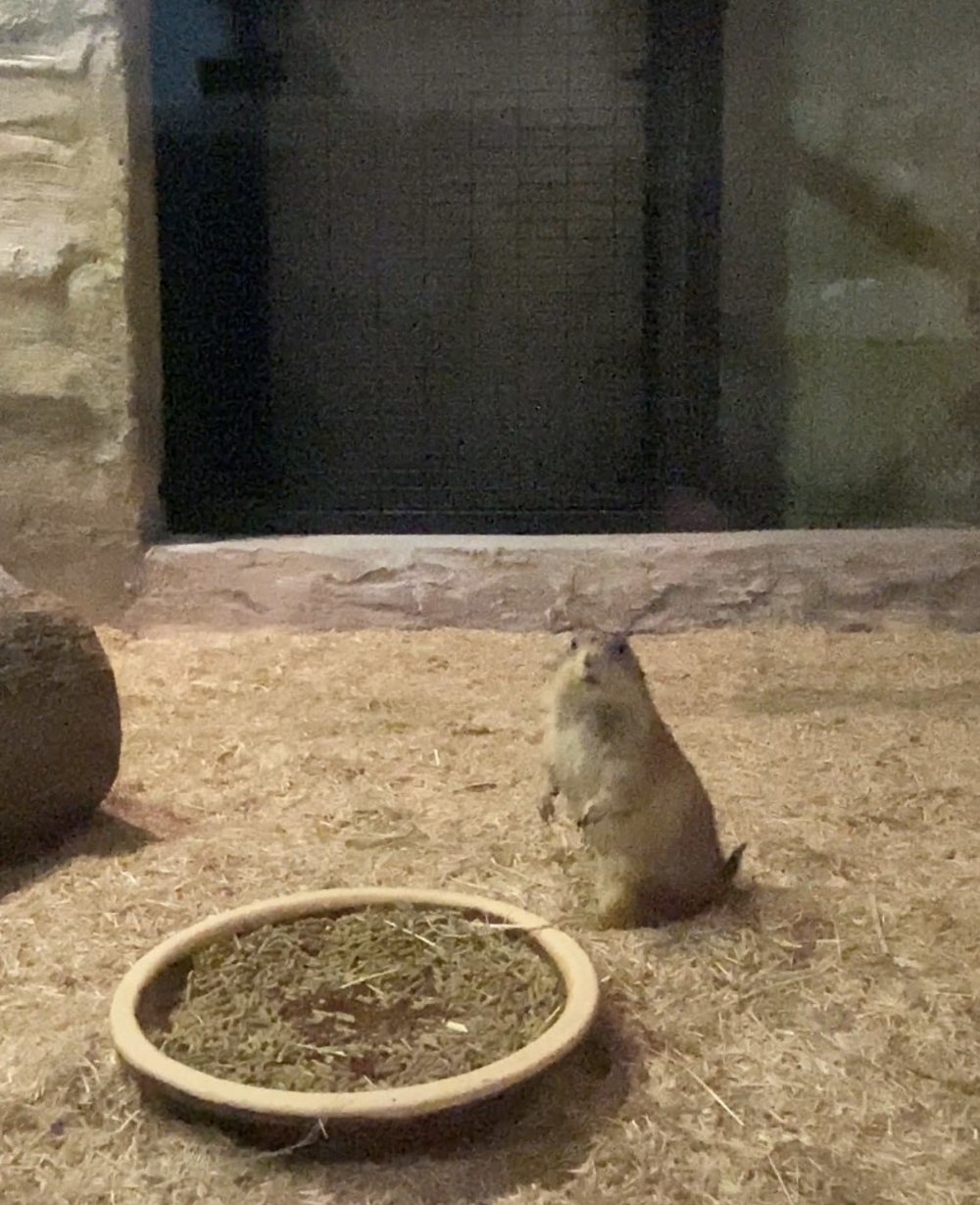 ioi city farm putrajaya